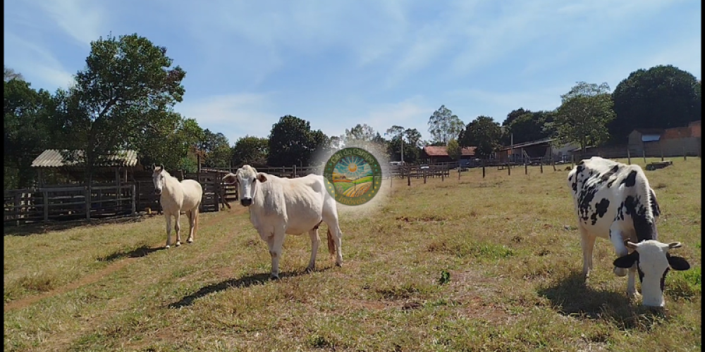 Sítio Região de Sorocaba