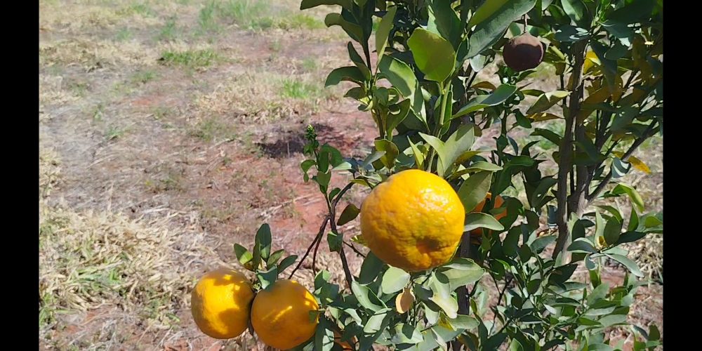 Sítio em Salto de Pirapora região de Sorocaba
