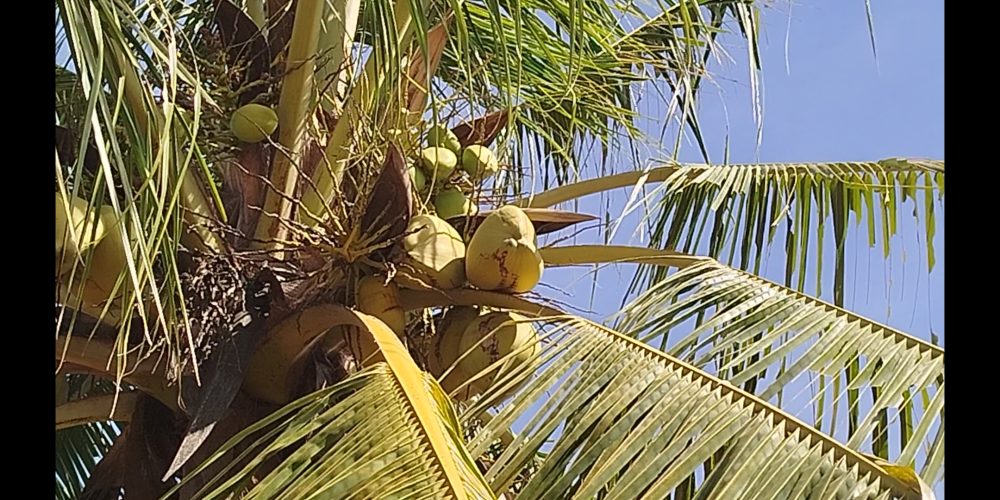 Sítio em Salto de Pirapora região de Sorocaba
