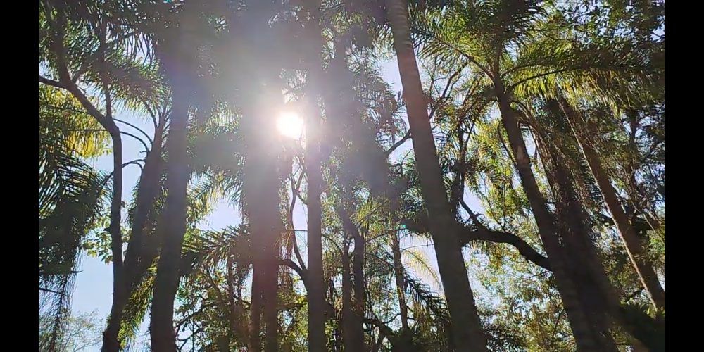 Chácara em Piedade SP.