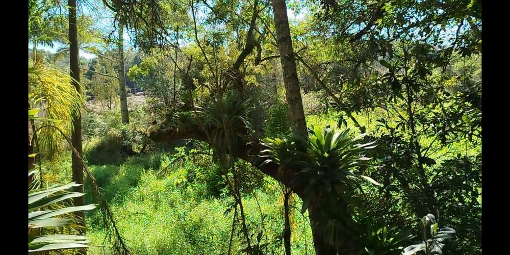 Screenshot_2025-07-30-09-35-21-916_com.miui.mediaviewer